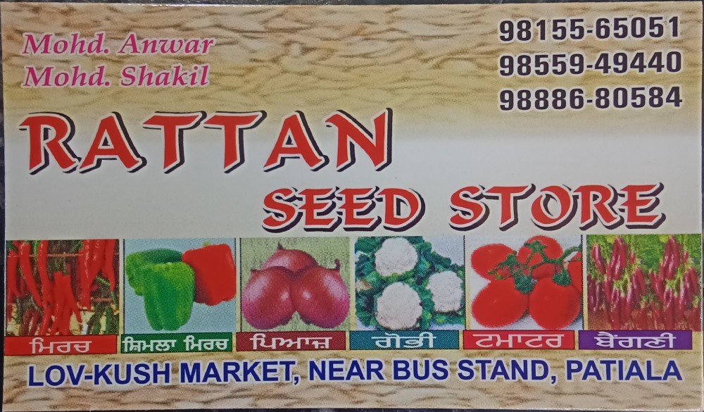 Rattan Seed Store