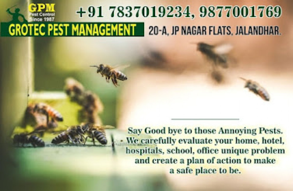 GPM Pest Management