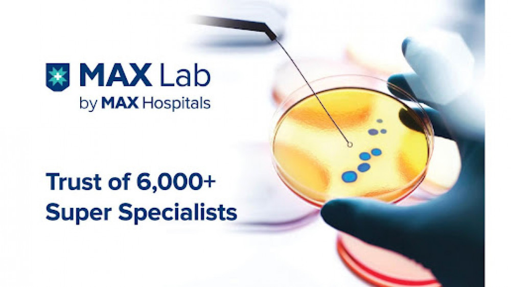 Max Lab