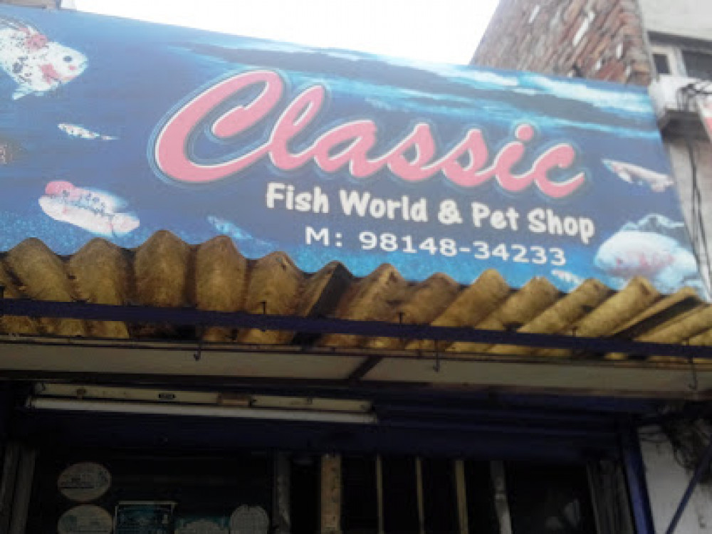 Classic Fish World & Pet Shop