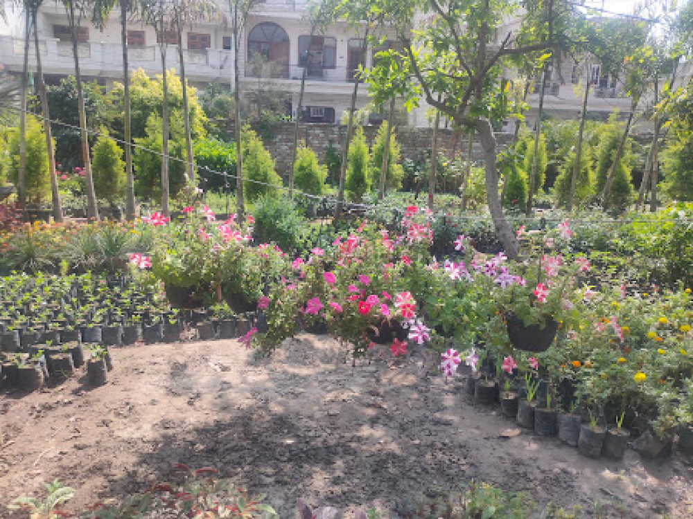 Prabhakar Garden & Nursery