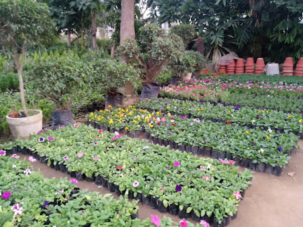 Bengal Nursery