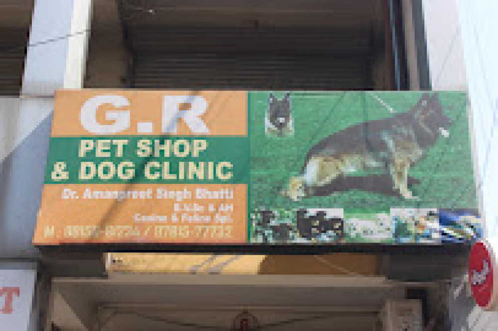 GR Pet Shop &Pet Salon & Dog Sale In Jalandhar