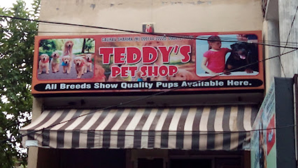 Teddy's Pet Shop