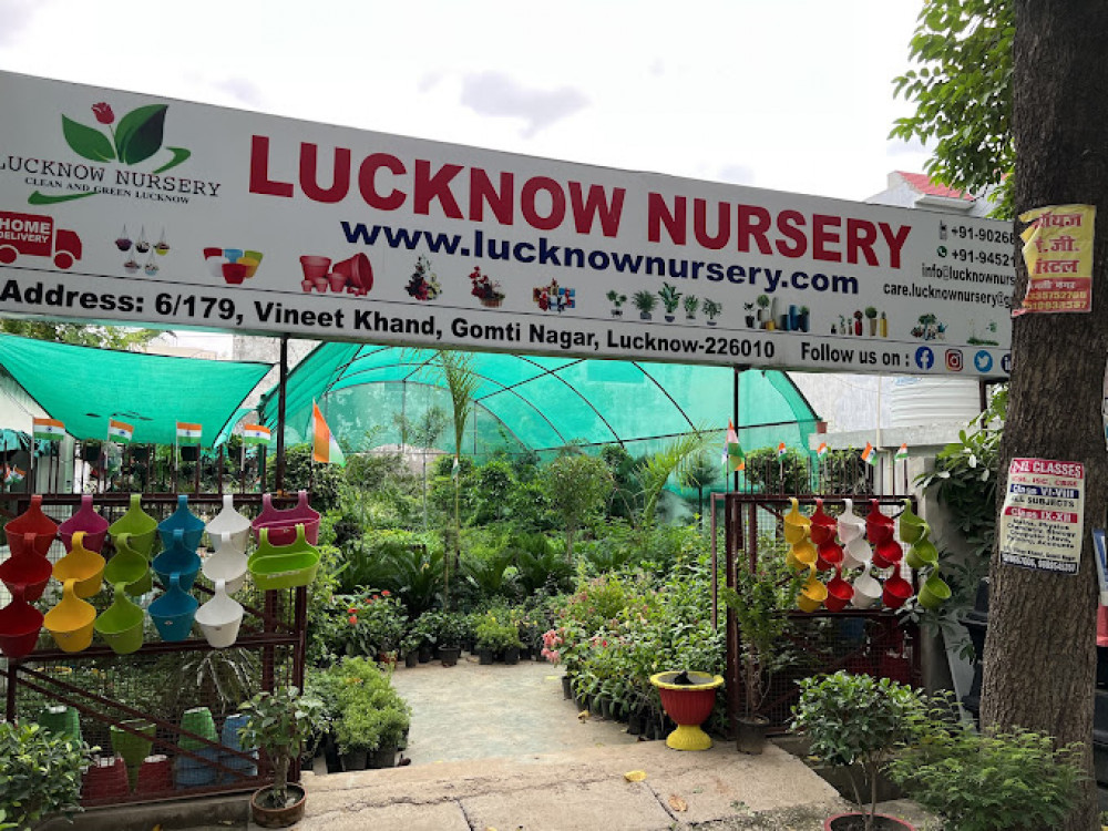 Lucknow Nursery