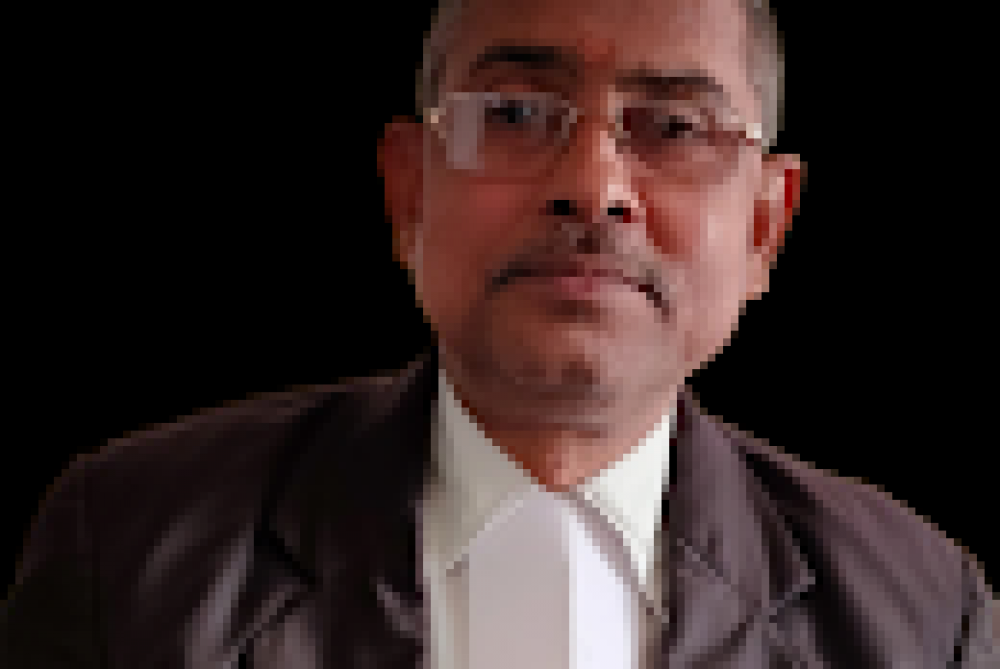 Advocate Radha Raman Roy