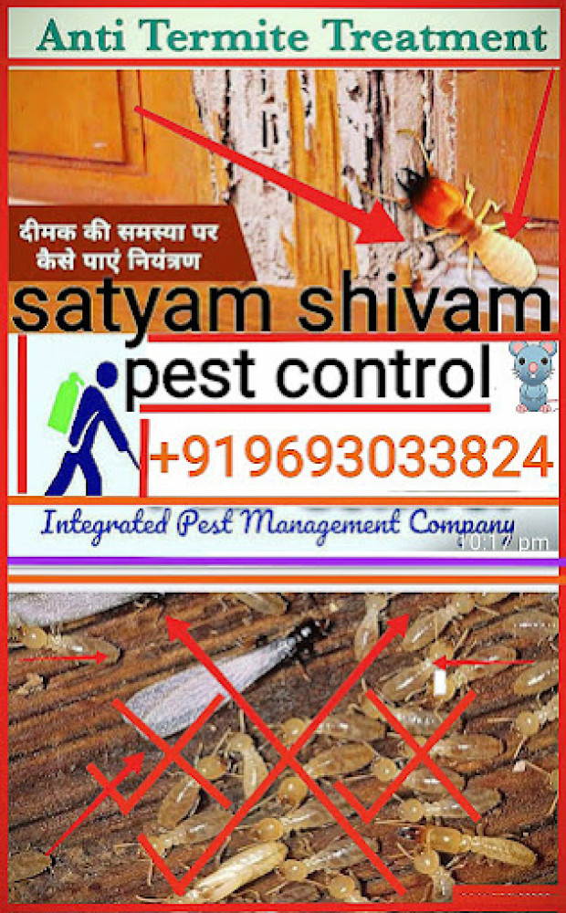 Satyam Shivam Pest Control Services