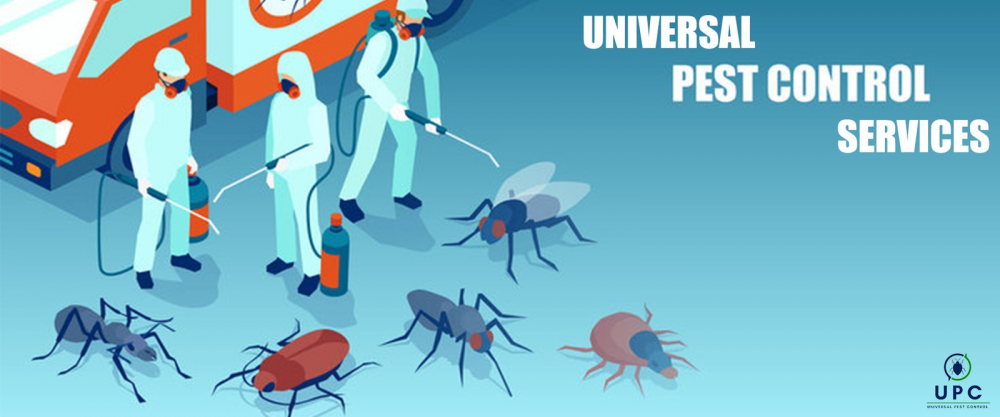 Universal Pest Control Service