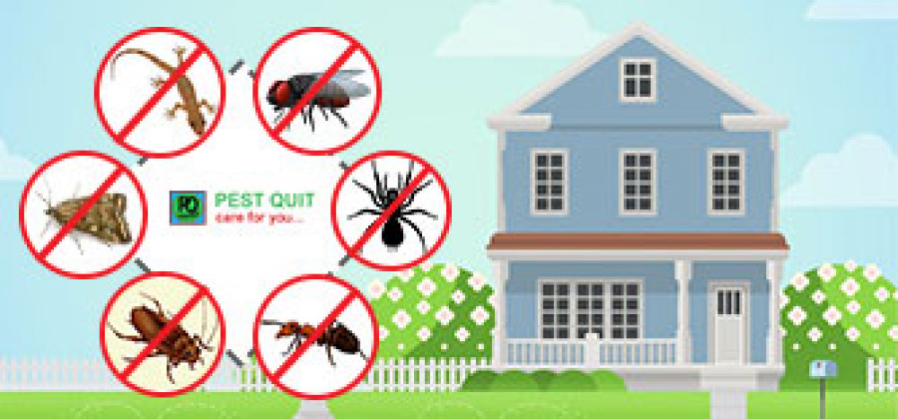 Pest Control Service