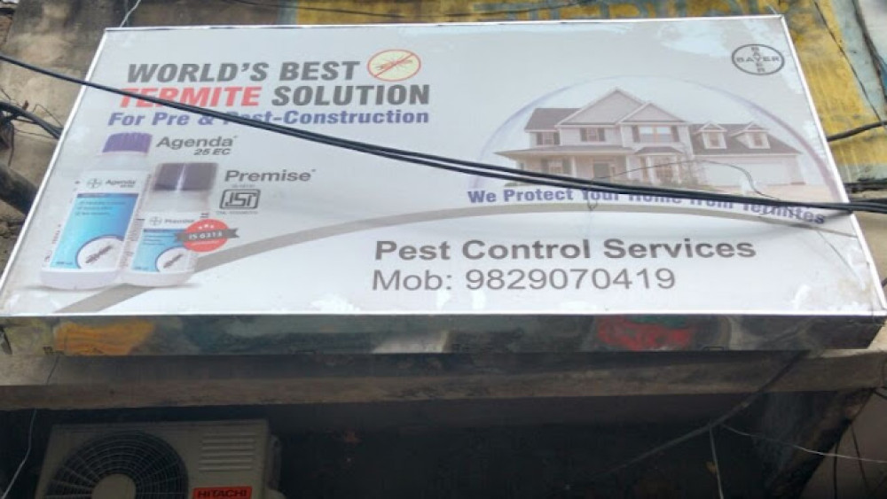 Pest Control Services