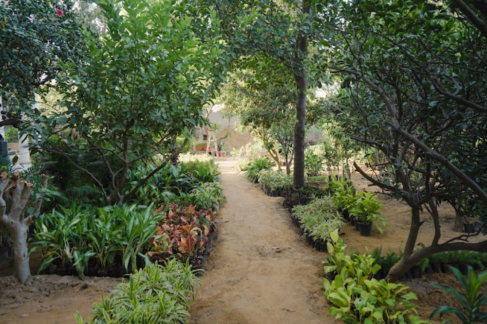 Madhuban Nursery