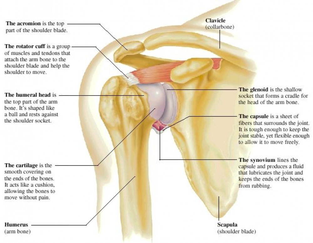 SPINE AND PAIN CLINIC