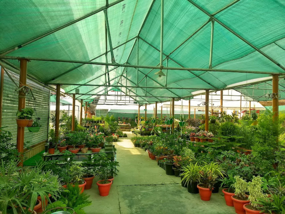 Aroma Nurseries