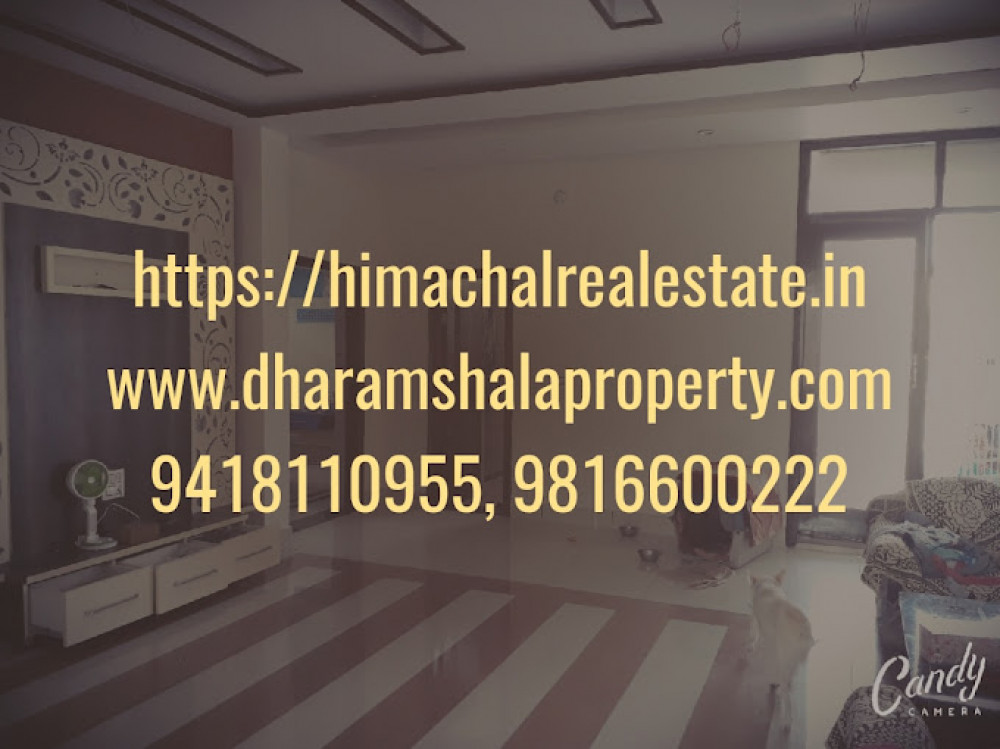 Himachal Real Estate