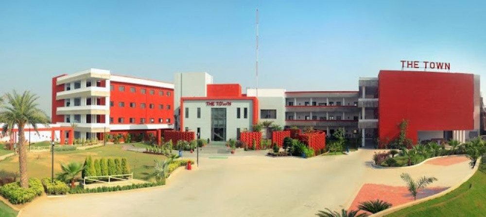 The Town School