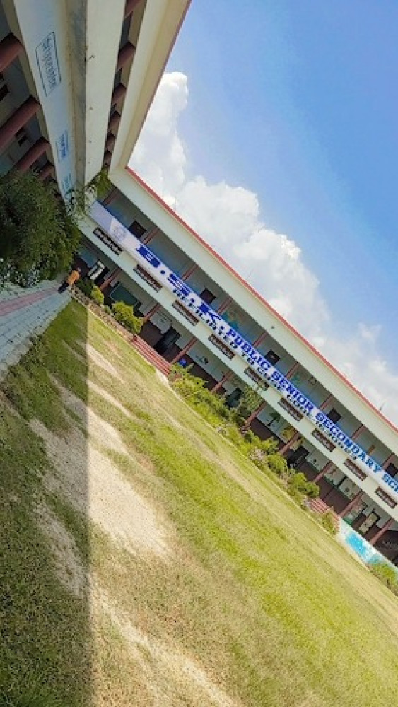 Bibi Satwant Kaur Public School