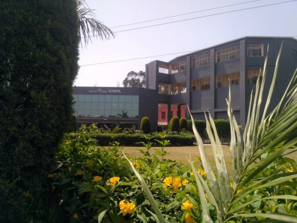 Mind Tree School