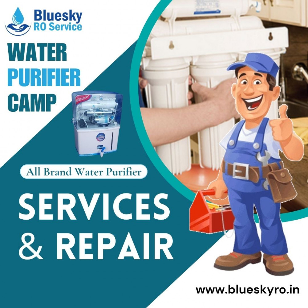 Bluesky Ro Service