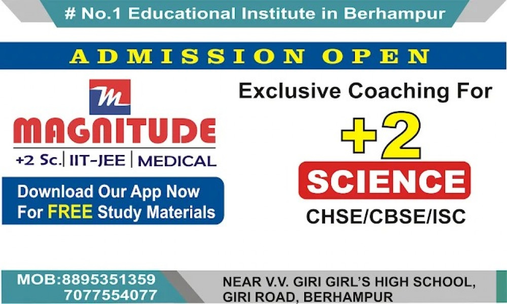 Magnitude Institute