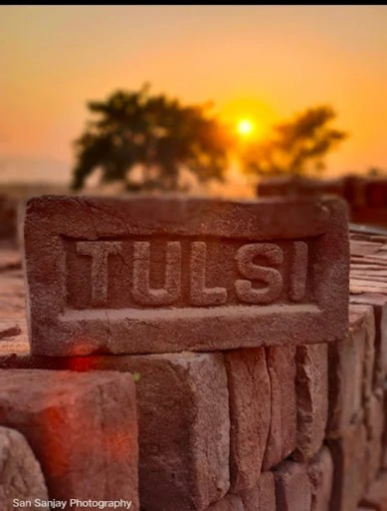Tulsi Bricks