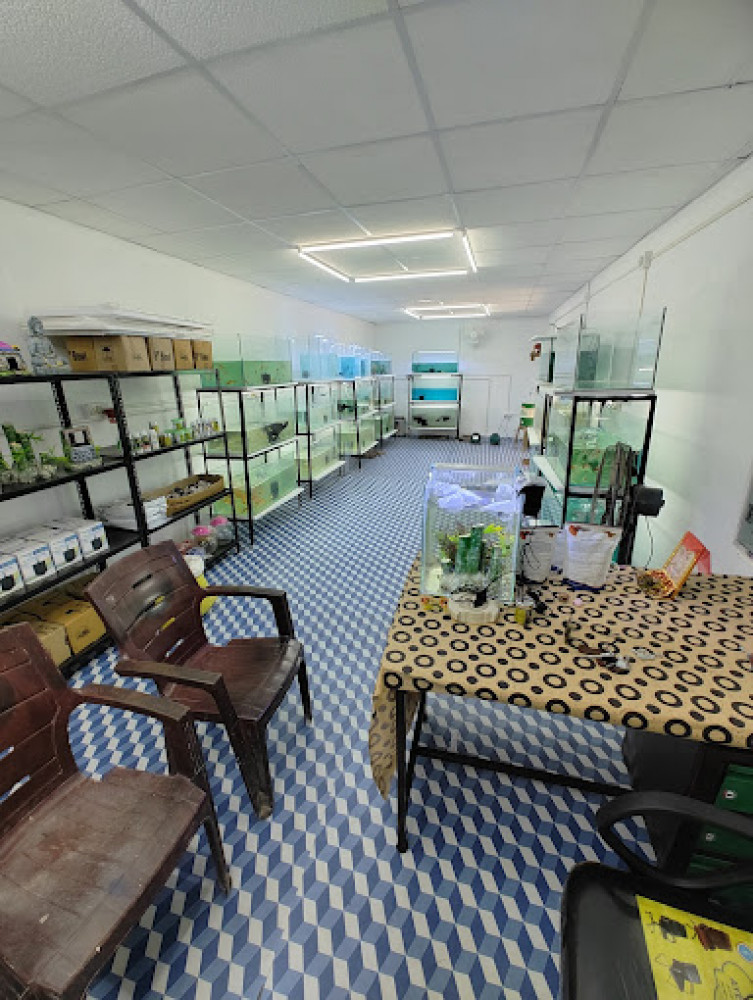 TBA World Aquarium Store