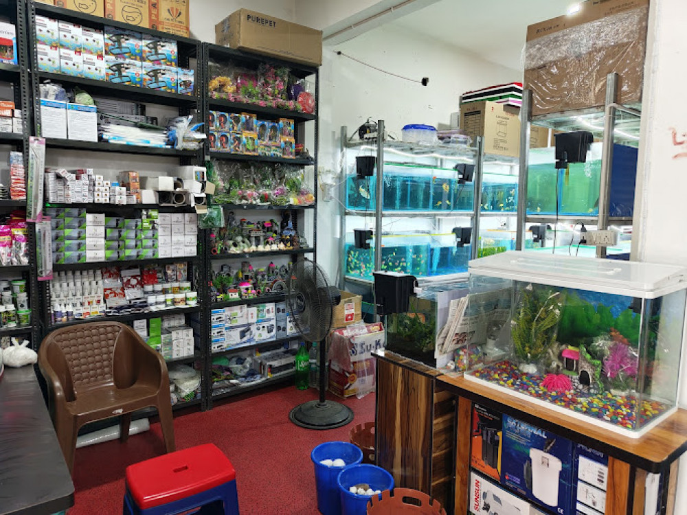 THE FIN AQUARIUM SHOP
