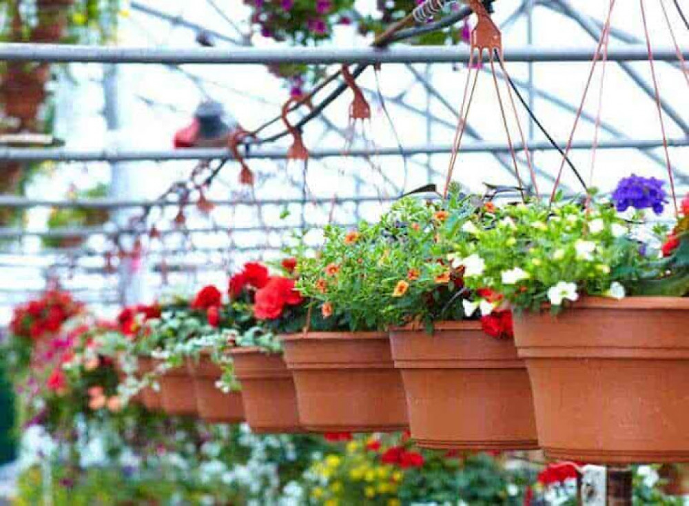 Jay Jagannath Nursery