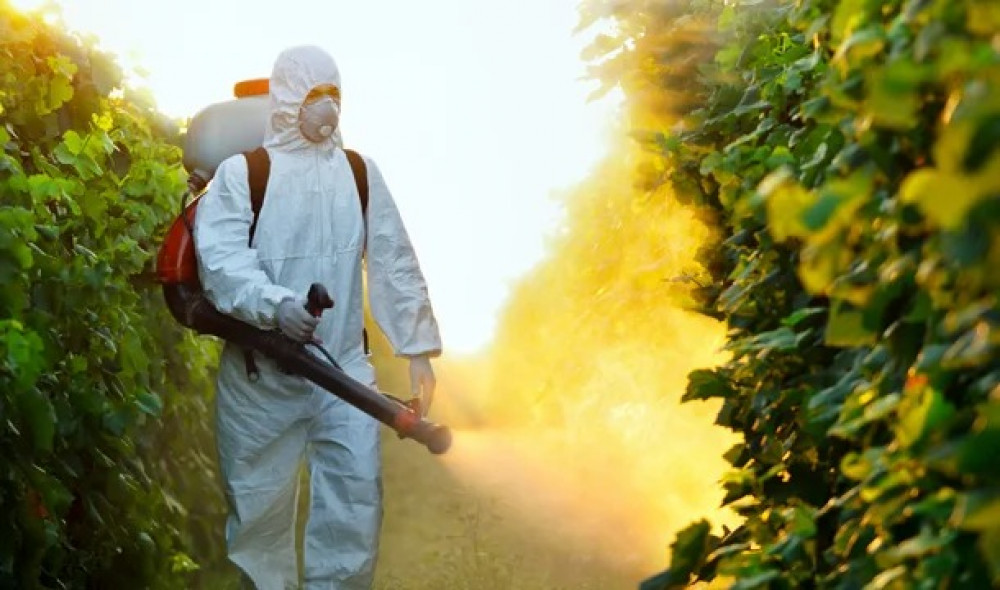 Ankita Pest Control Services