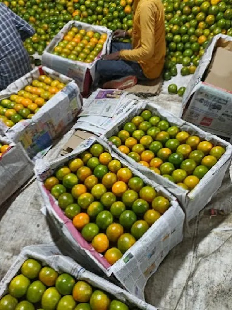 R N Fruit