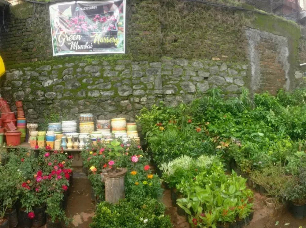 Green Mumbai Nursery