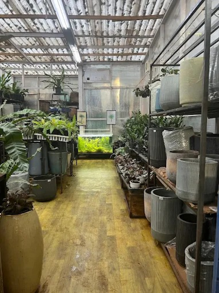 Plant People