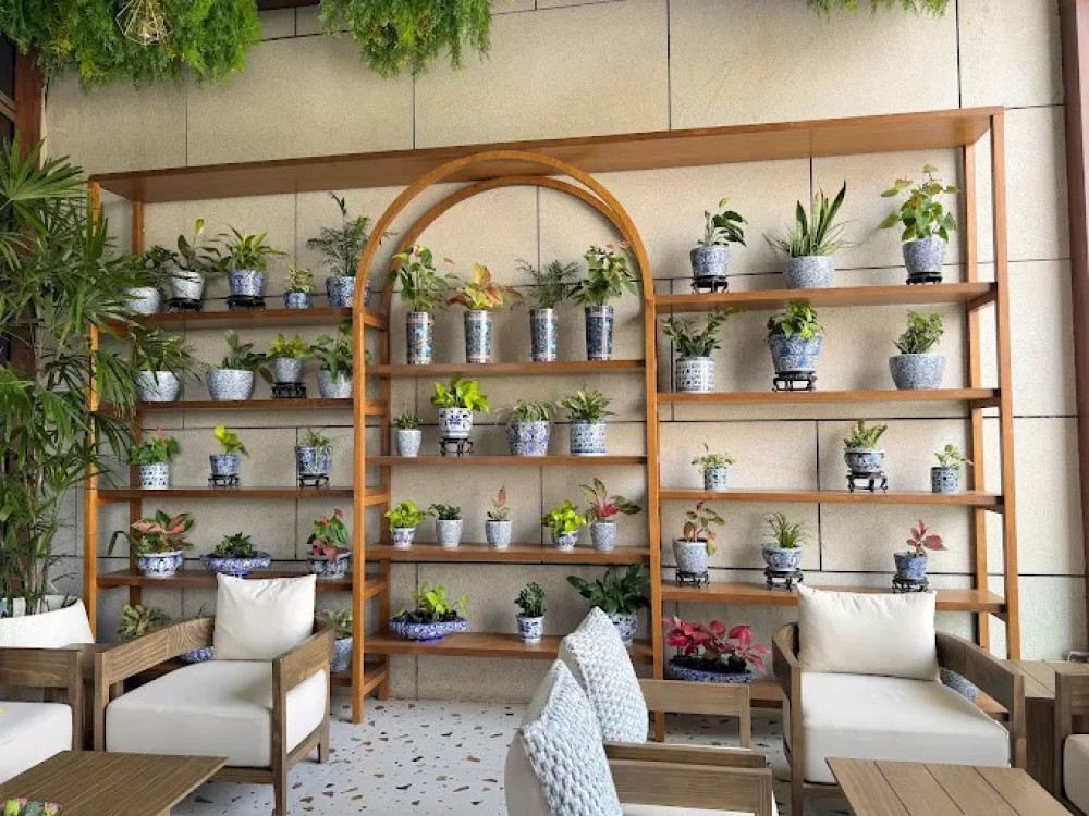 Bloomindoors Plants & Gardens