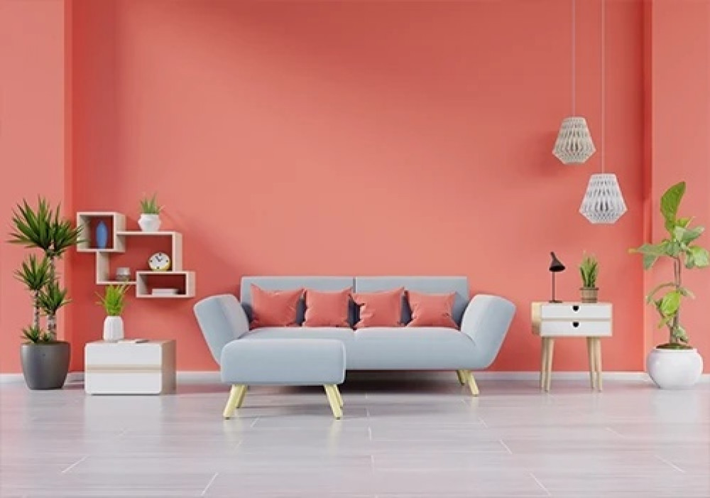 One Paint Solution