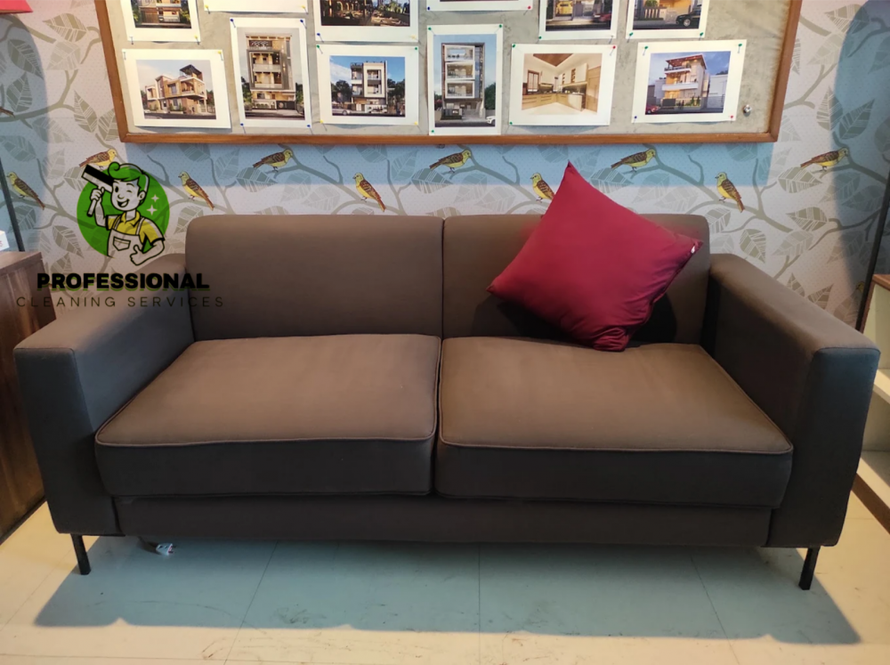 Professional Cleaning Services