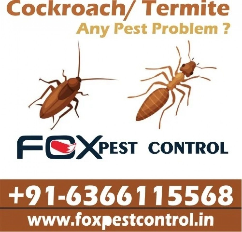 FOX PEST CONTROL