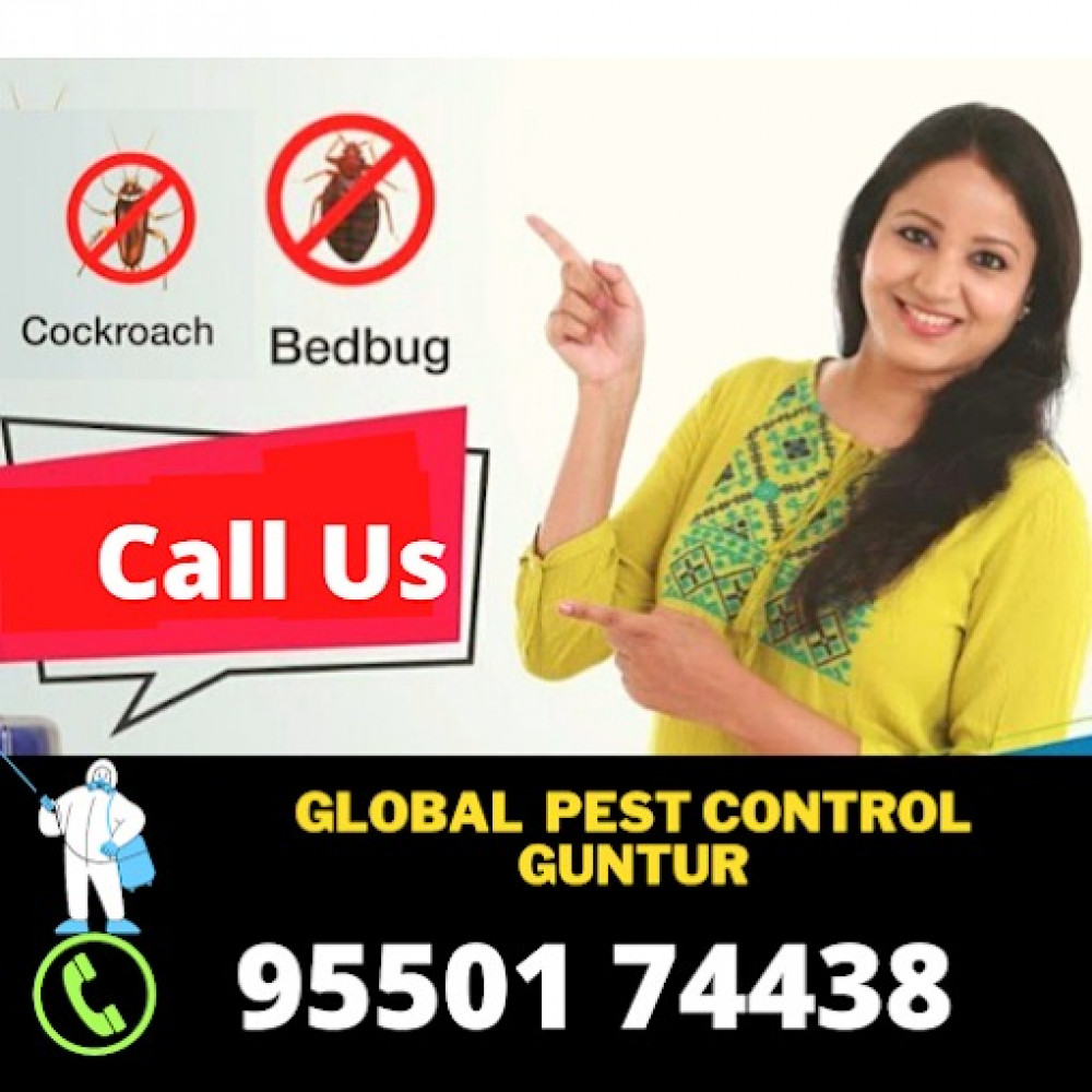 Global Pest Control