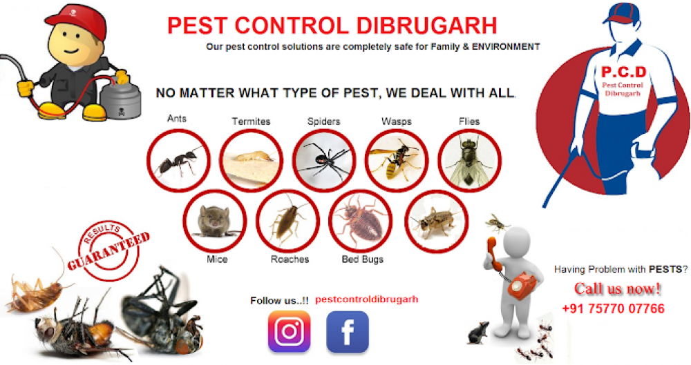 Pest Control Dibrugarh