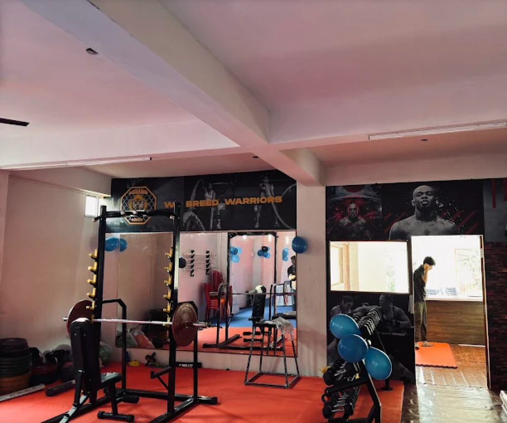 Migang Mma & Fitness Gym