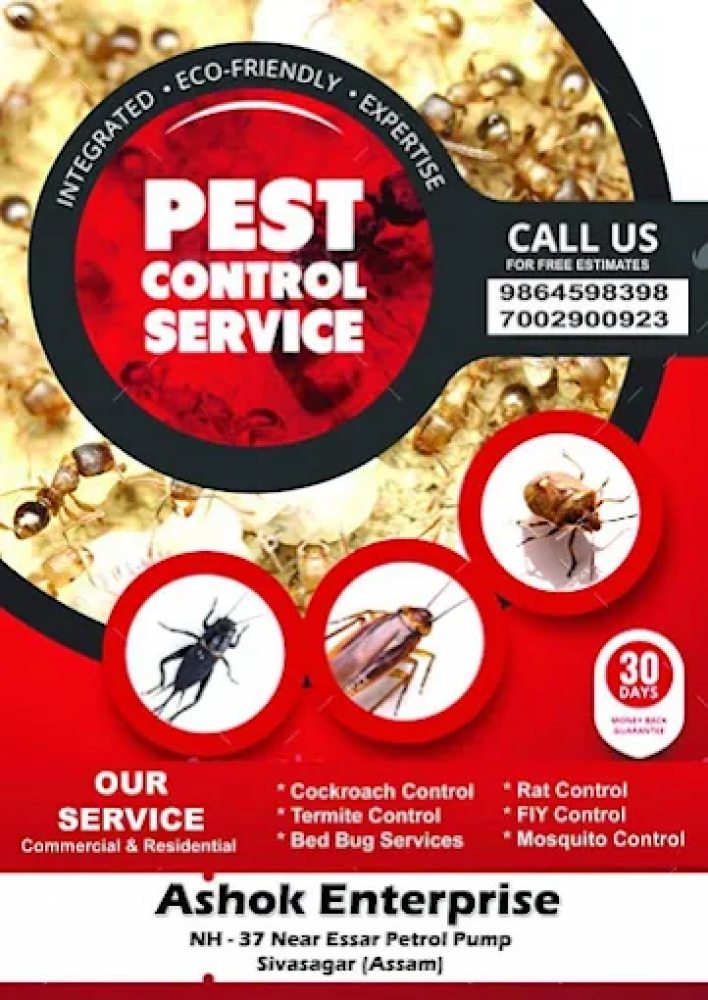 ASHOK PEST CONTROL