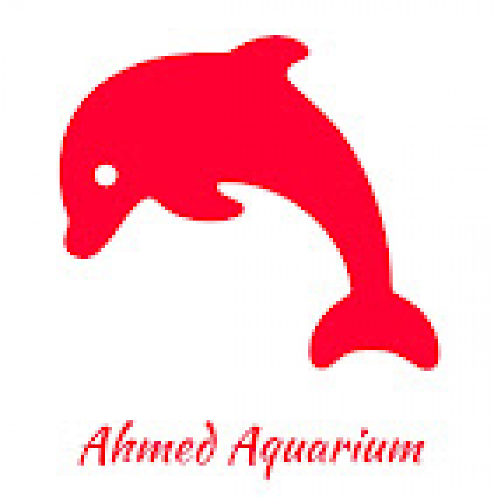 AHMED AQUARIUM