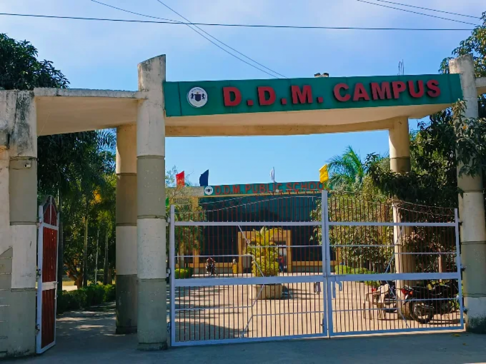 DDM Public School