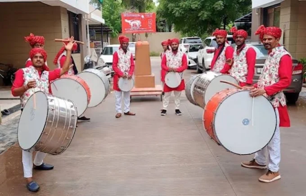 Punjabi Dholis