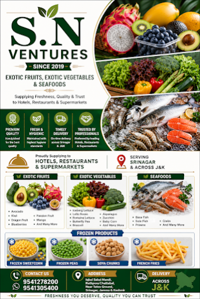SN Ventures