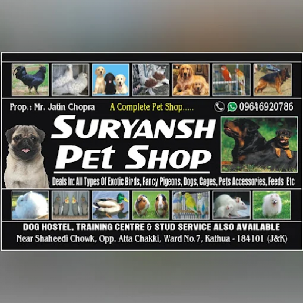 Suryansh Pet Shop