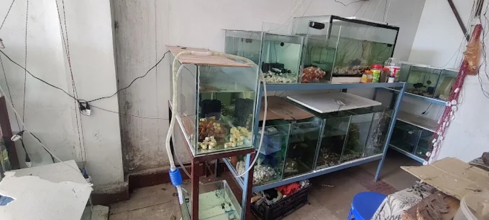 Aquarium Pet Shop
